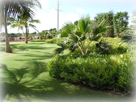 Urban Garden Center Hawaiian Ecosystem Garden