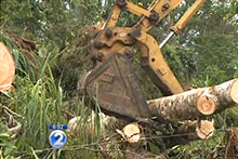 Clean up efforts on the Big Island
