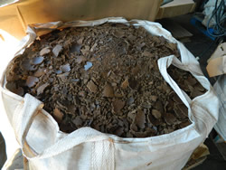 Macadamia
nut cake, a waste product of local oil processing, is a promising swine feed.