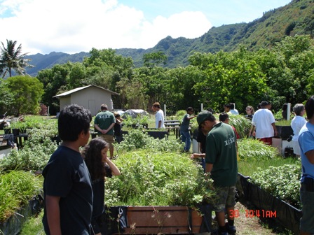 Students visit the native green roof plantings