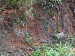 road cut