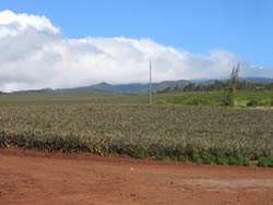 Kahana Series
