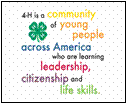 4H Youth logo