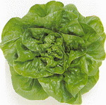 Okayama