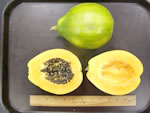 Waimanalo Papaya