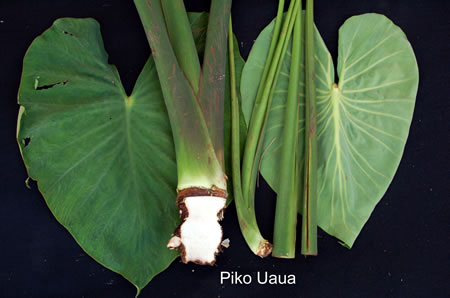 Piko Uaua