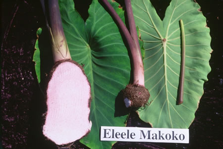 Eleele Makoko