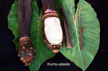 Kumu-eleele