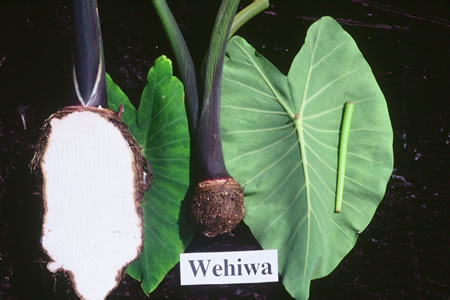Wehiwa
