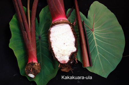 Kakakura-ula