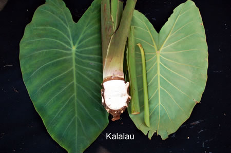 Kalalau