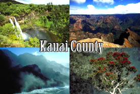 montage of Kauai county sceneries