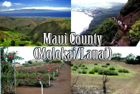 montage of Maui county sceneries
