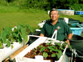 Aquaponics: Harvesting Food, Creating Synergy
