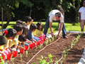 Greening Schools