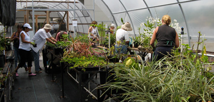 Master Gardeners in greenhouse