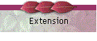 Extension