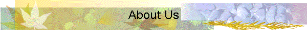 About Us
