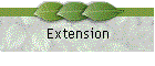 Extension