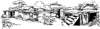 [Uchida Coffee Farm]
