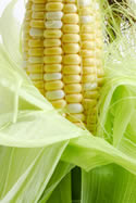corn