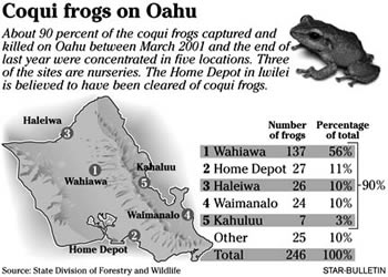 Coqui frogs on Oahu