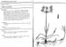 cyperus