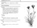 chloris