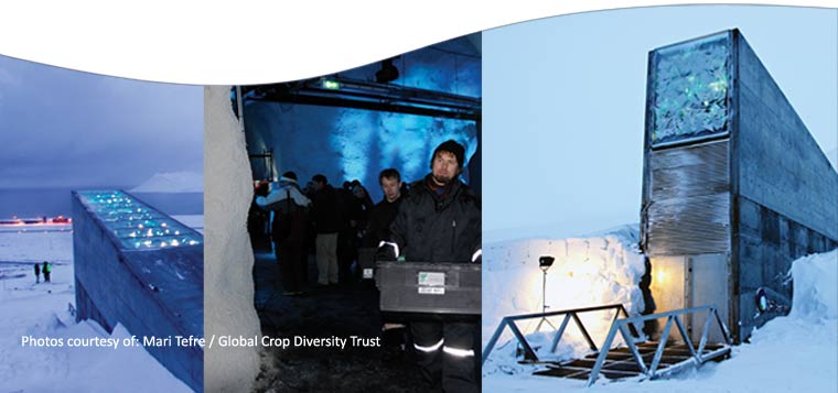 pictures of global seed vault showing modern structure sticking out of snow