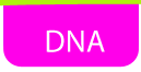 dna page