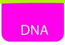 DNA page