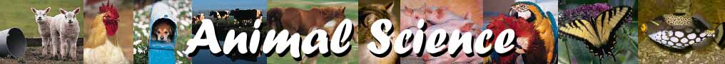 ANIMAL SCI BANNER 2.jpg (24345 bytes)