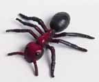 ant.jpg (6251 bytes)
