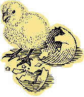 j0216562.wmf (61564 bytes)