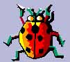 ladybug2.jpg (8244 bytes)