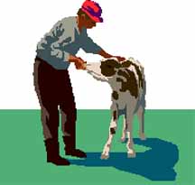 livestock.jpg (10099 bytes)