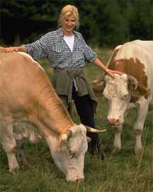 livestock2.jpg (13598 bytes)
