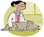vet.jpg (9562 bytes)