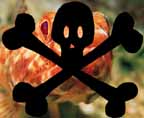 04foodsafety.jpg (9223 bytes)
