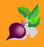 102veg.jpg (6700 bytes)