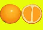 103vitamin c.jpg (5223 bytes)