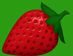24fruits.jpg (6145 bytes)