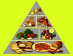 39FoodPyramid.jpg (7549 bytes)