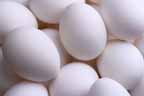 54eggs.jpg (4678 bytes)