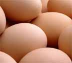 81eggas.jpg (5444 bytes)