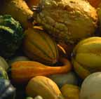 85food.jpg (8735 bytes)