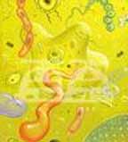 15germs.jpg (8463 bytes)