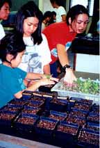 18cloverkids.jpg (13974 bytes)
