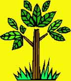 01plants.jpg (14167 bytes)