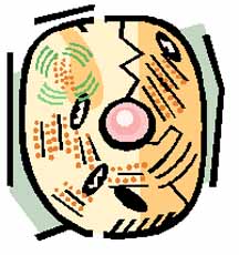 02cell.jpg (20820 bytes)